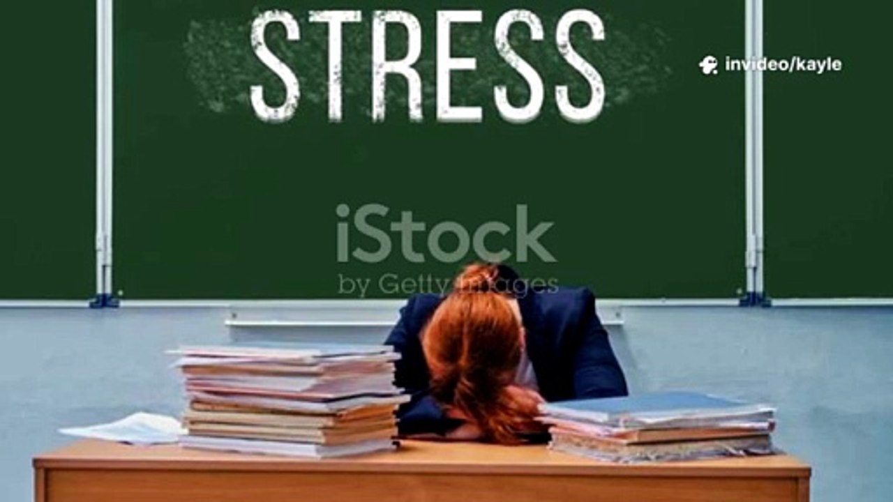 Higher Business Management Assignment Help | Expert Guidance for Top Grades