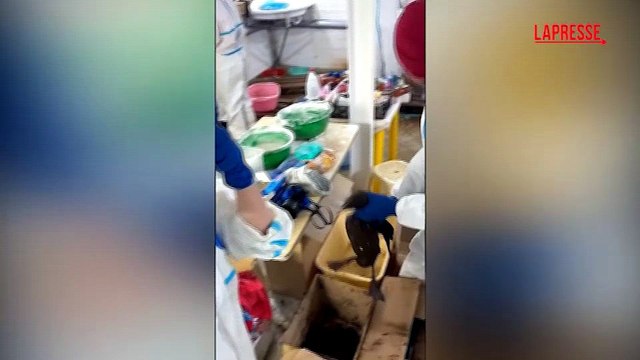Russia, fuoriuscita di petrolio nel Mar Nero: i volontari puliscono gli animali