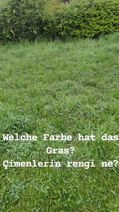 Farben lernen: GRÜN 🌿 | Renkleri Öğreniyoruz: YEŞİL