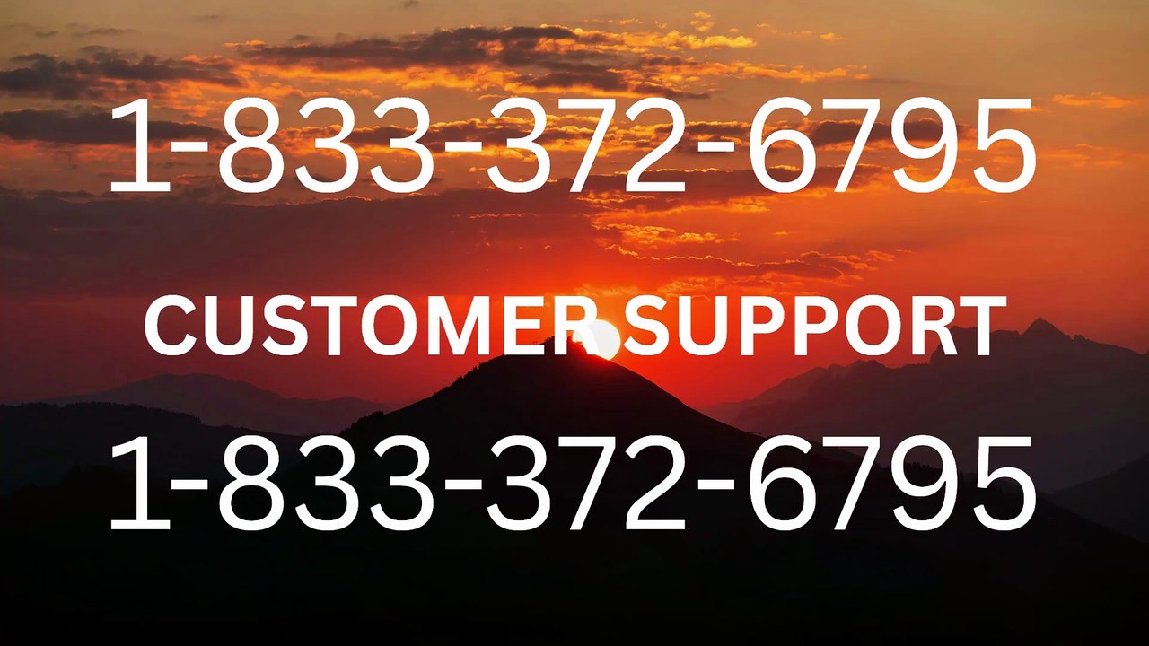 Blockchain™ Official Support A Step-by-Step Guide to Customer Service Assistance
