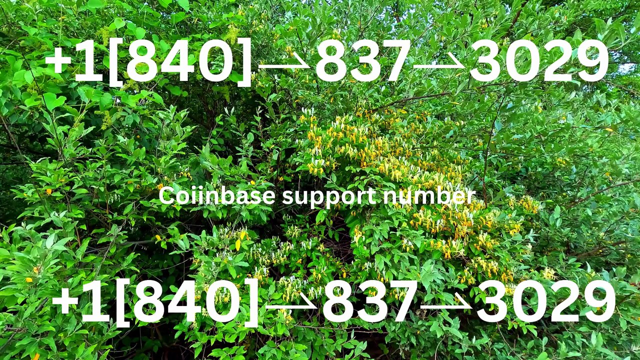 ®=®=®[ [OFFICIAL®] ] Coinbase CUSTOMER SERVICE℠ Hotline —Complete Methods