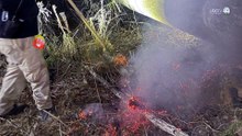 Pegan incendios forestales en Bahía de Banderas
