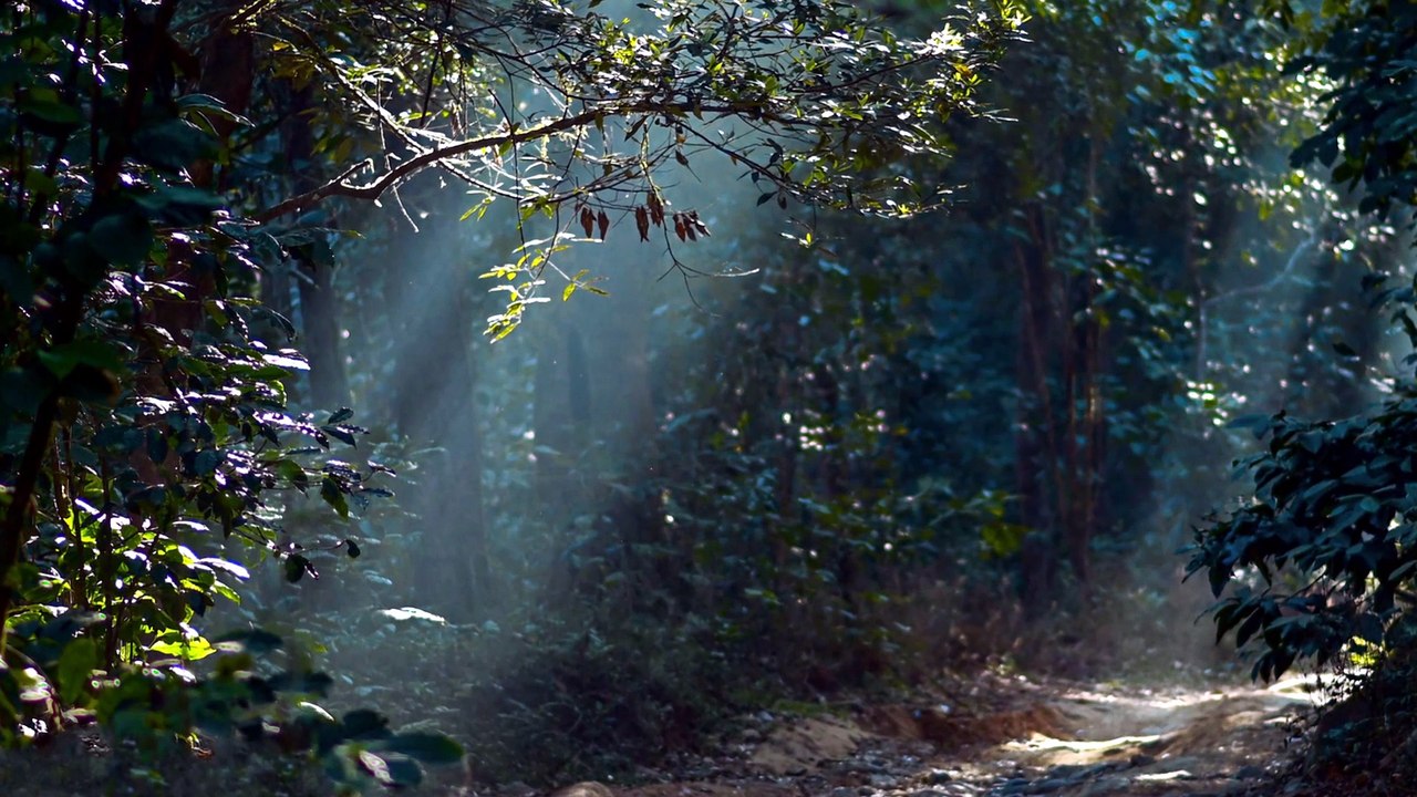 Stop Forcing Positivity—Try This Instead
