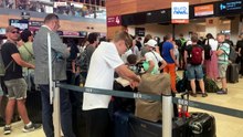 «Системный провал»: как новая система въезда-выезда EES нарушила работу пограничного контроля ЕС