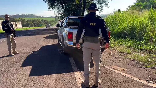 PRF apreende mais de 470 quilos de skunk em Maringá