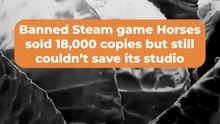 Banned Steam Game Horses Sold 18,000 Copies But Still Couldn’t Save Its Studio