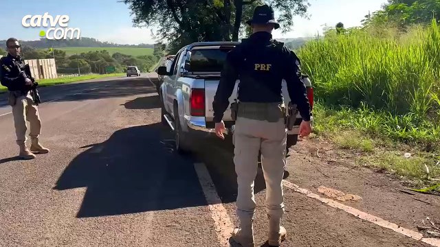 Mais de 470 kg de skunk são apreendidos após fuga na PR-317