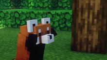 Meeting Cute Red Pandas in Minecraft - Mod Showcase