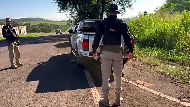 PRF apreende quase meia tonelada de skunk após perseguição em Maringá