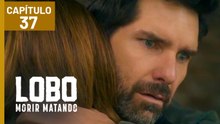 LOBO MORIR MATANDO | CAPÍTULO 37 (10/04/2026)