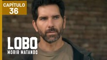 LOBO MORIR MATANDO | CAPÍTULO 36 (09/04/2026)