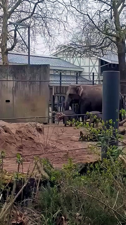 Mook & Yuki are out for a spring run