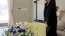 The Ceo's Secret Lover Full Chinese Drama