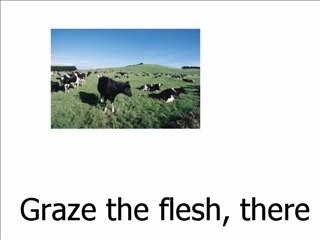 Ozone - Dragostea Din Tea Funny Lyrics