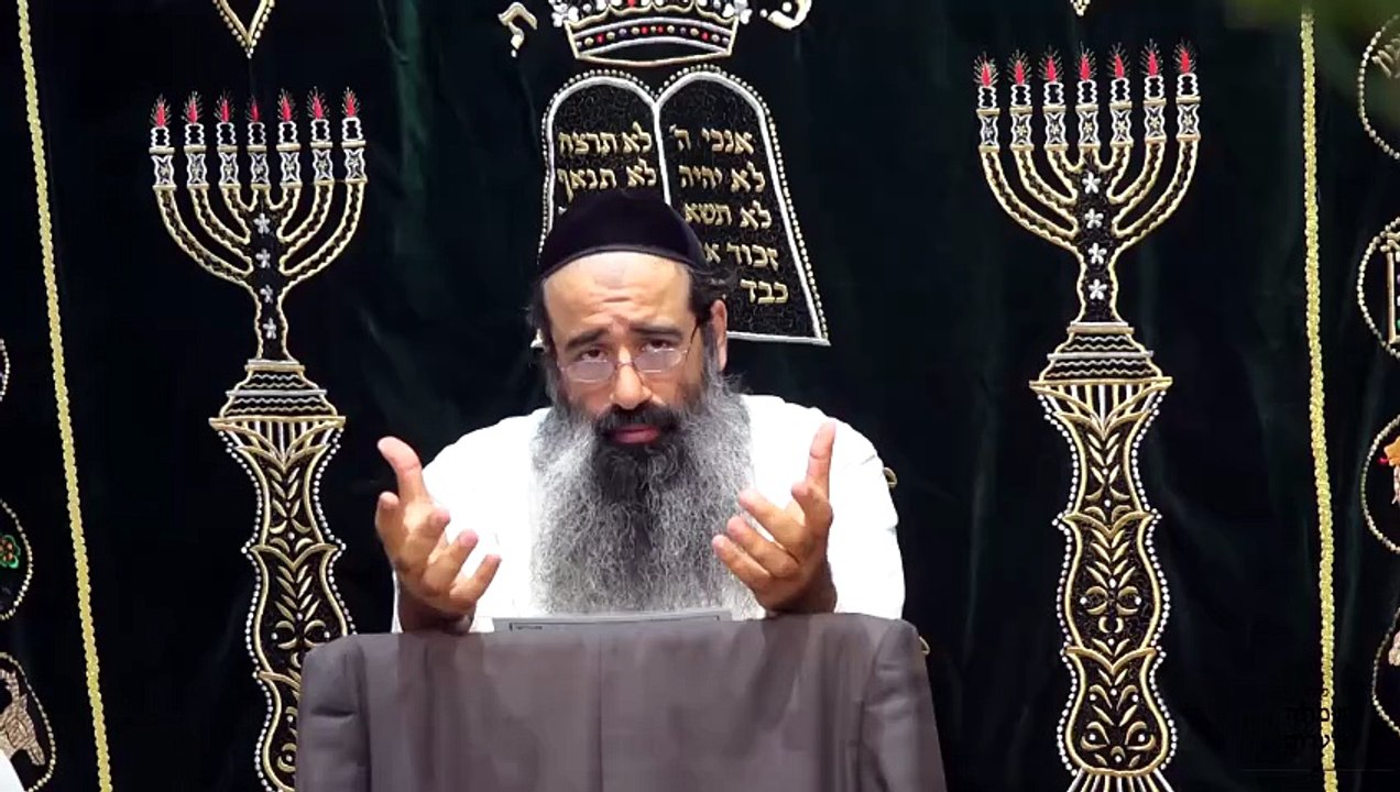 כוונות נענועי הלולב - שיעור 1 | הולכה והובאה