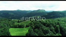 Green Nature Forest And Mountains Aerial View