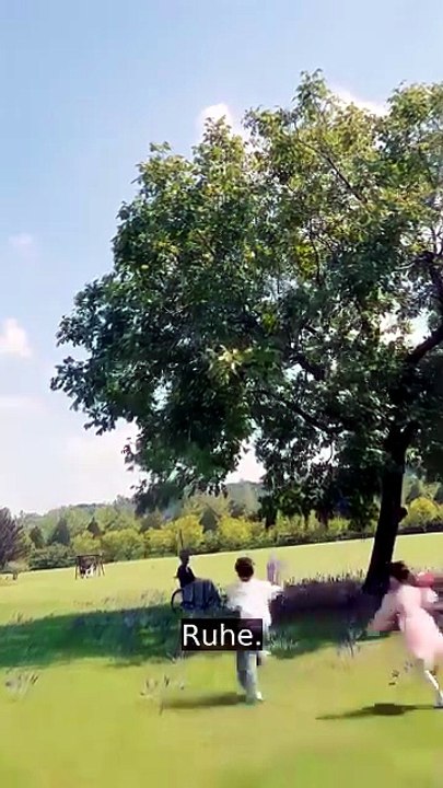 Deine Lügen werden nicht wieder gewinnen | Ganzer Film Deutsch