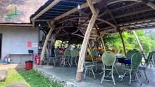 Làm resort ven rừng mà không phá thiên nhiên? Giải pháp từ nhà tre mái lá | Tre Trúc Ngọc Dương