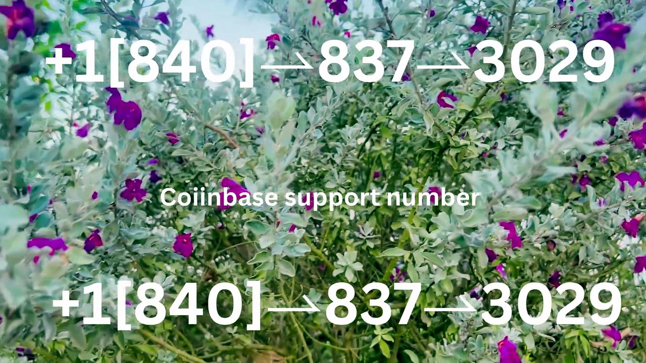 -[ⲨⲨ_HashTaG] Coinbase® WALLET SUPPORT© SUPPoRT℗ Phone NuMber (OfficiAl)