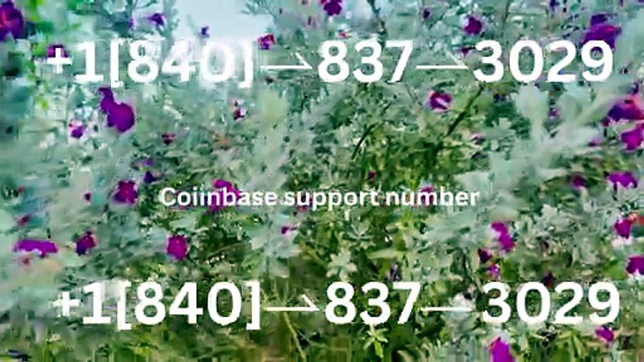 ⬊®⬋[OFFICIAL®] ] Coinbase CUSTOMER CARE SERVICE℠ Number — All Methods