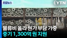 물류비 올라 원가 부담 가중...중기 1,300억 원 지원 / YTN