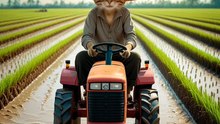Cat on Tractor 😻  Cute Funny Cat Video