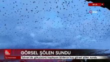 Bitlis'te gökyüzünü kaplayan binlerce kuş görsel şölen sundu