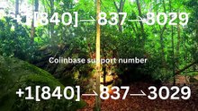 『Coinbase CUSTOMER®』 SERVICE© CARE℗ NUMBERS TOLL FREE NUMBER: Easy Step by Step Guide
