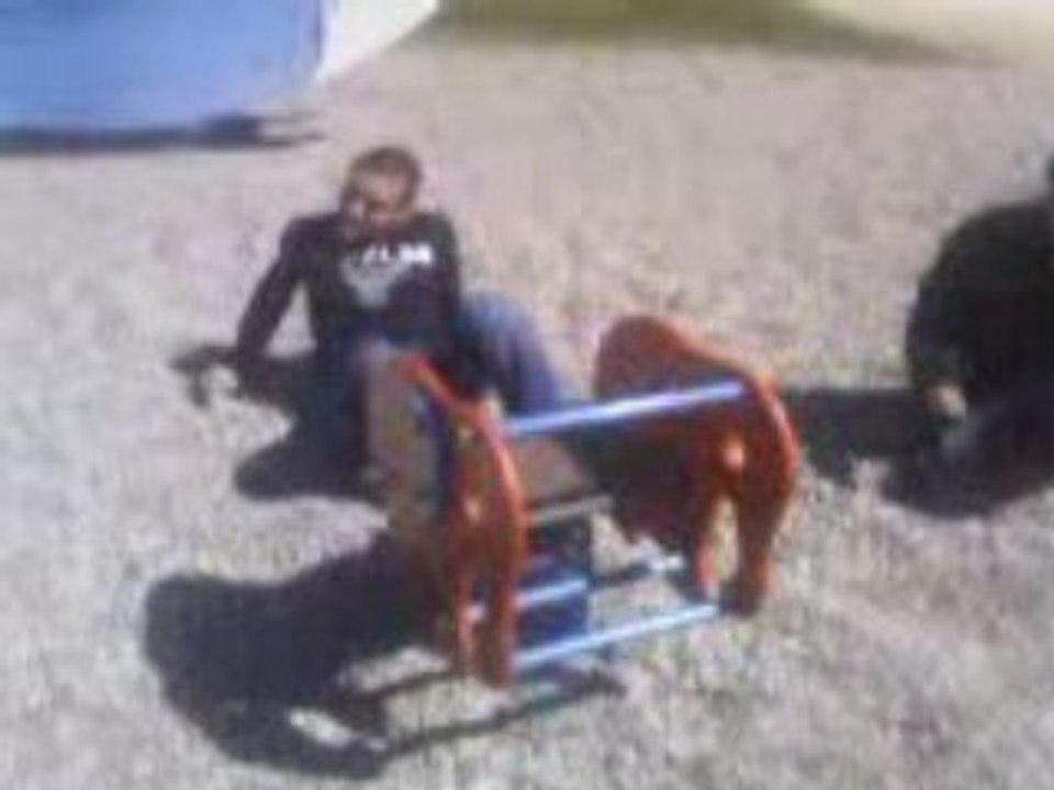 Tarzan parc