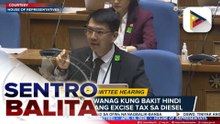 DOF, ipinaliwanag sa mga mambabatas kung bakit hindi sinuspinde ang excise tax sa diesel at gasolina; Rep. Quimbo, inirekomendang tutukan din ang middle-class earners | ulat ni Vel Custodio