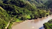 Colombia sacrificará a los hipopótamos de Pablo Escobar