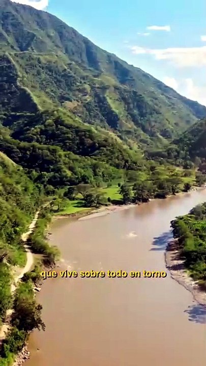 Colombia sacrificará a los hipopótamos de Pablo Escobar