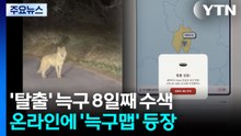 대전 탈출 늑대 8일째 수색...'늑구맵' 누리집 화제 / YTN