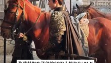 SBTI什么来的？火到张凌赫都在玩