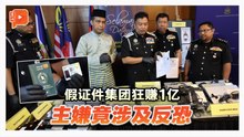 假证件集团狂赚1亿 主嫌竟涉及反恐