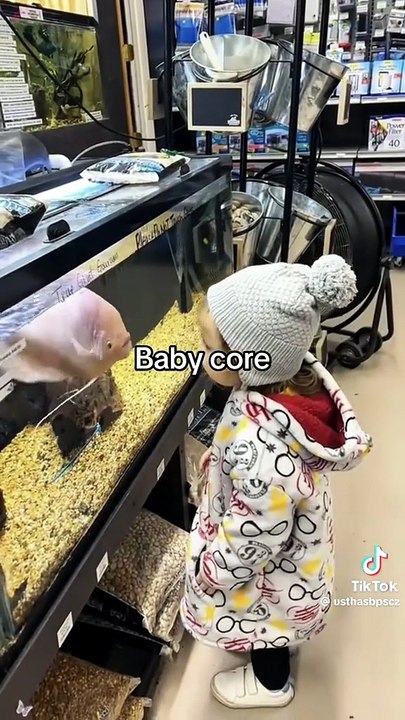 Funny Videos 🤣