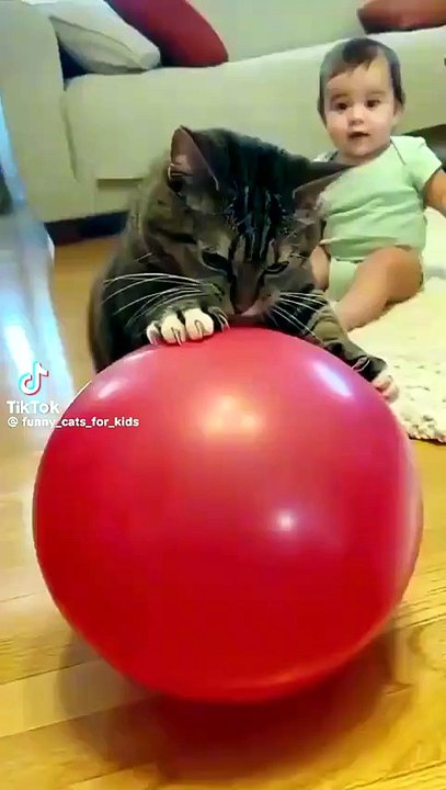 Funny Videos 🤣