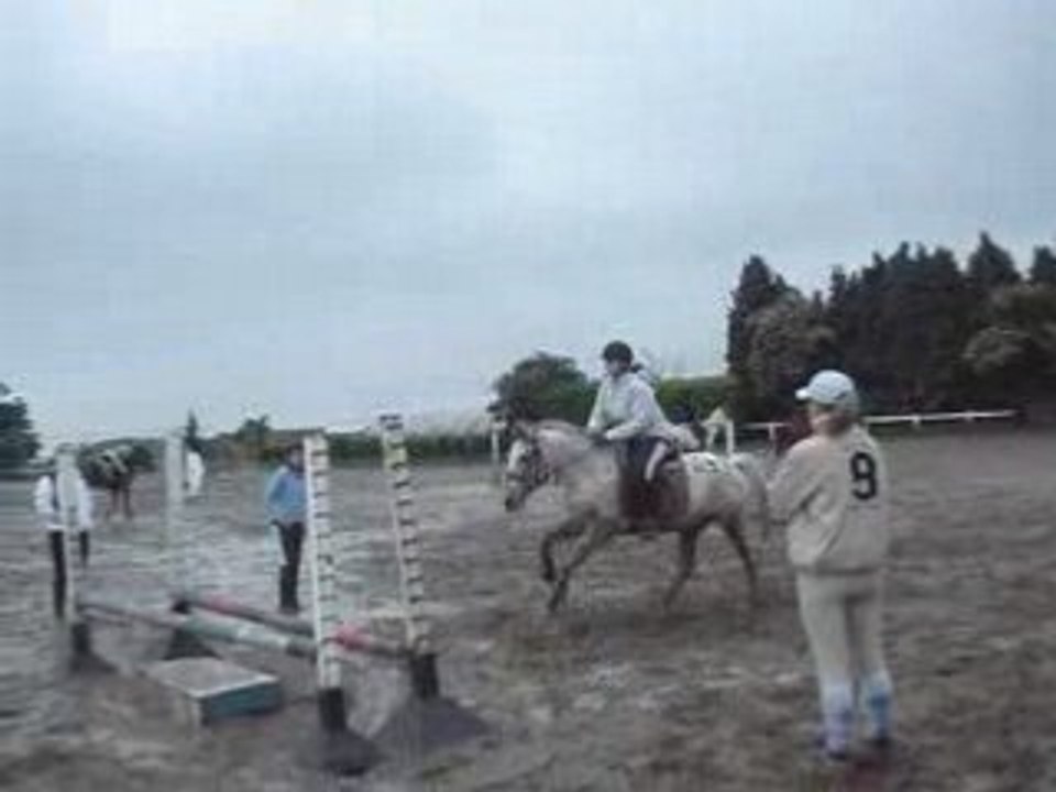 appaloosa