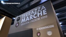 Marche, Mazzoni: "Vini sempre più caratterizzati per riconoscere la nostra Regione"