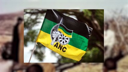 La femme qui a construit une compagnie aérienne avec un “non”