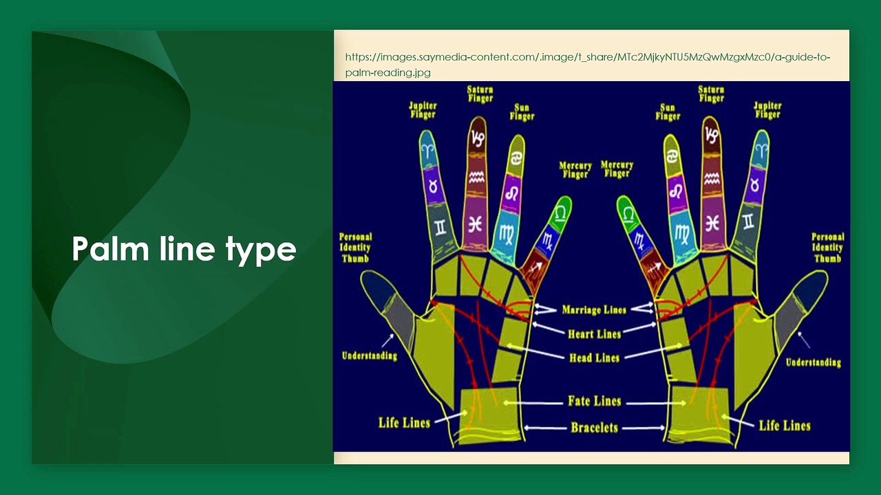 Why Do We Have Palm Lines? Hand Reading, Foot Lines & Weird Questions You Never Thought Of!