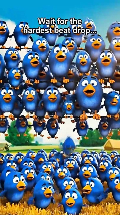 The hardest beat drop of all time 😭 #talkingbirds