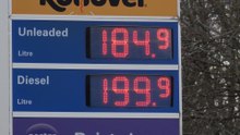 Fuel prices pause after weeks of rises but drivers still paying more