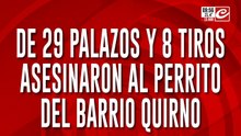 Vecino violento ejecutó sin piedad al perro callejero del barrio