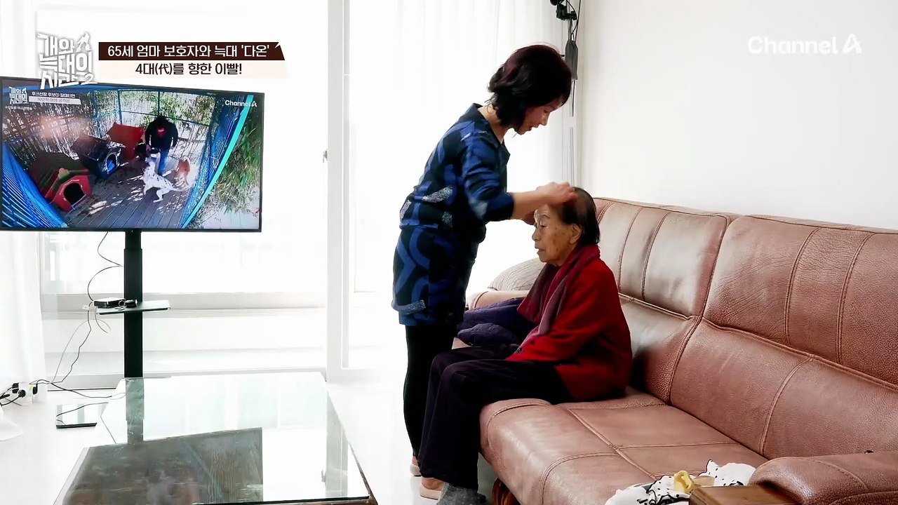 아기를 노리는 '미끼'를 던진다?! 14개월 어린 손자를 위협하는 늑대 '다온'!