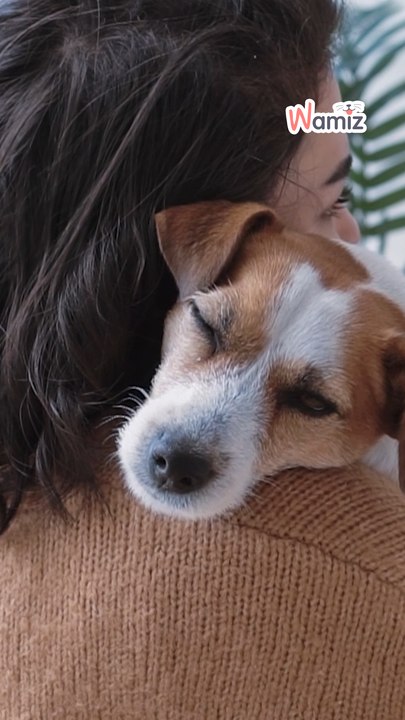 Findet ihr die Strafe gerechtfertigt? ❤️zu wenig 👍genau richtig