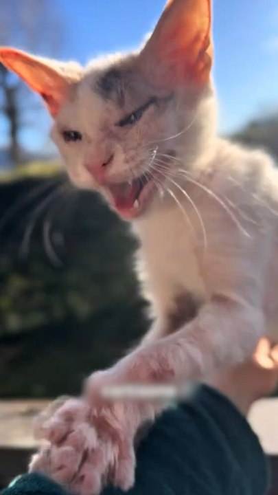 Hätte ihr es gewusst? 😮