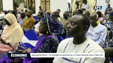 Agroalimentaire - le Sénégal se positionne à l’international avec Cibus Tec