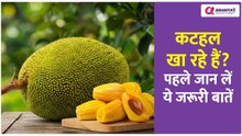 Jackfruit Tips: खतरनाक हो सकता है कटहल खाना! पहले जान लें ये जरूरी बातें...