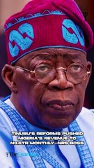 Tinubu's reforms pushed Nigeria's revenue to N3.6tr monthly - NRS Boss